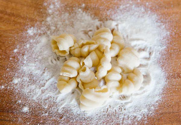 Clam Shells by Della Casa Pasta